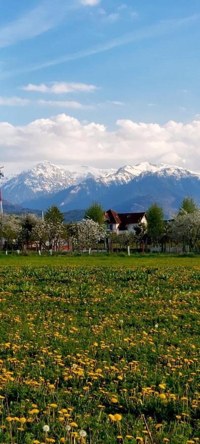Das Home Rîşnov Dış mekan fotoğraf