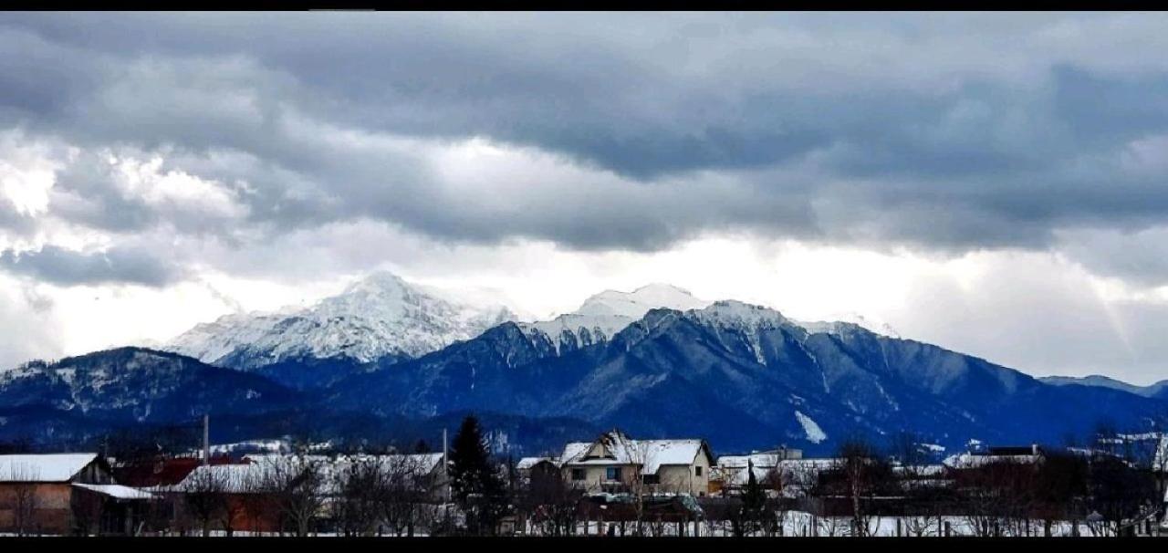 Das Home Rîşnov Dış mekan fotoğraf